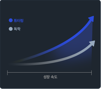 현직 개발자 튜터(마스터)링