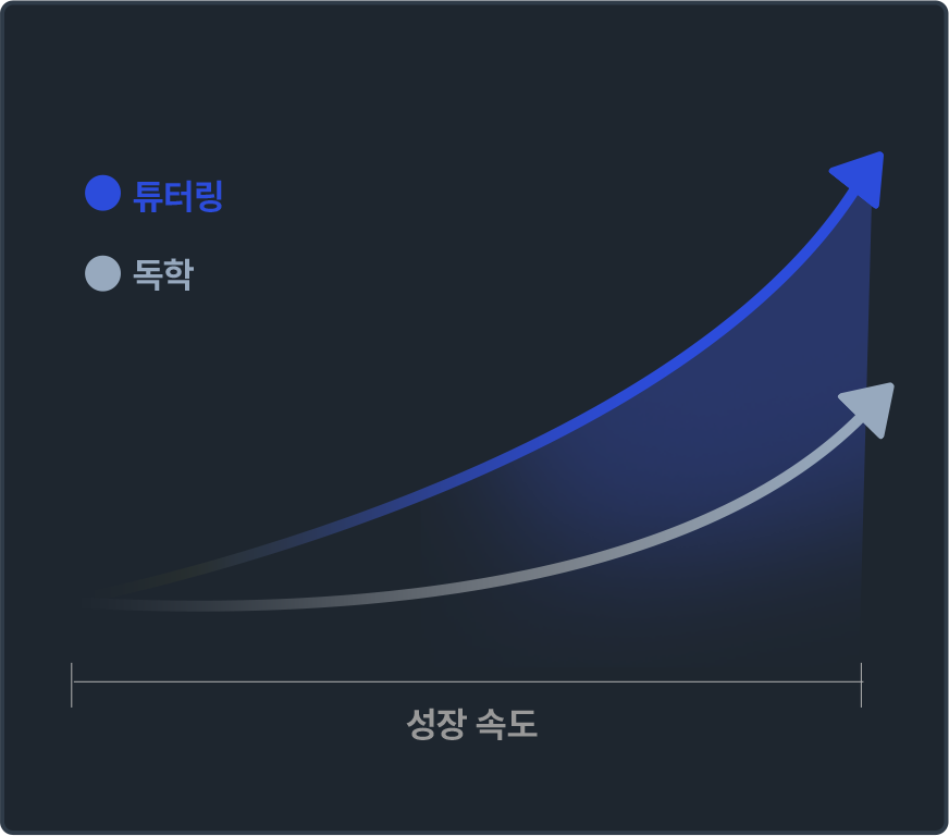 현직 개발자 튜터(마스터)링